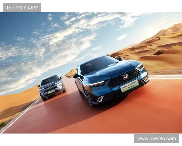 全球总决赛回顾:WE战队展现强大实力与团队协作精神